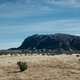 Illustration for article titled The Big Bend Overland Trip (long read/photo dump)